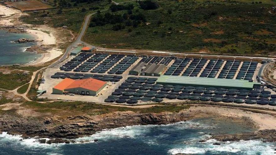 Vista aérea de una piscifactoría de rodaballo en Camariñas.