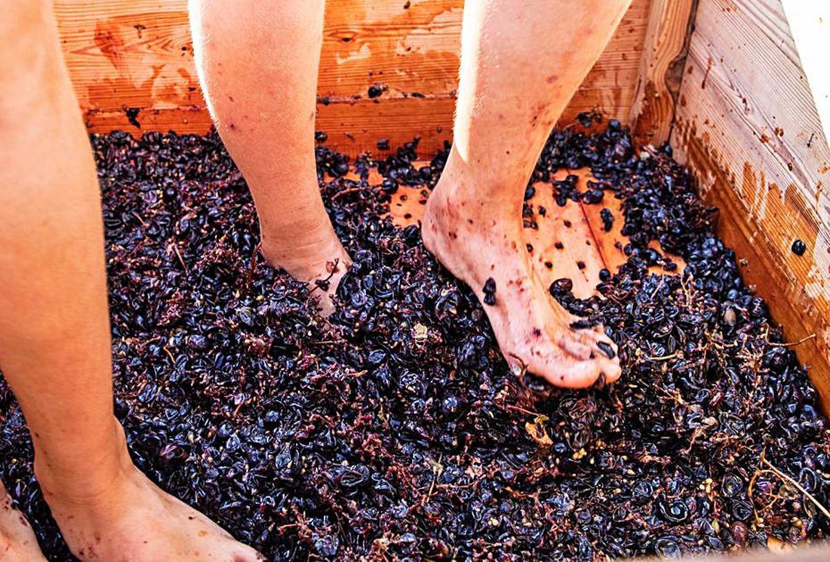 Imagen de la ‘fonyada de raïm’. | ZOWY VOETEN