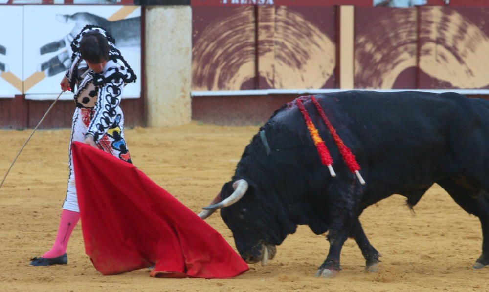 Toros | Corrida Picassiana de la Feria de Málaga