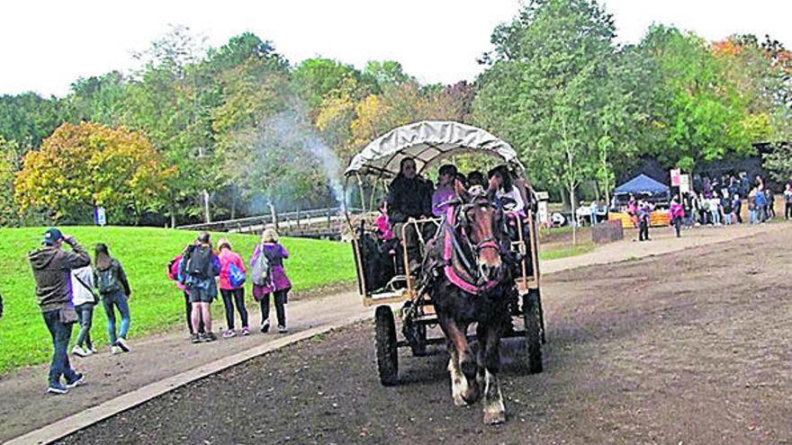 La crida de tardor de la Fageda d&#039;en Jordà