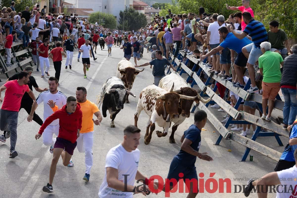 Primer encierro de la Feria del Arroz de Calasparra