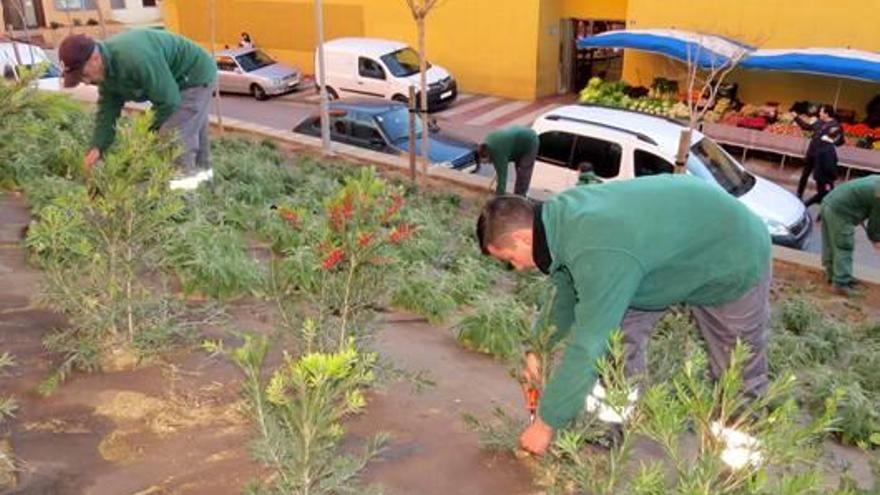 La segona fase de l&#039;actuació ha finalitzat aquesta setmana.