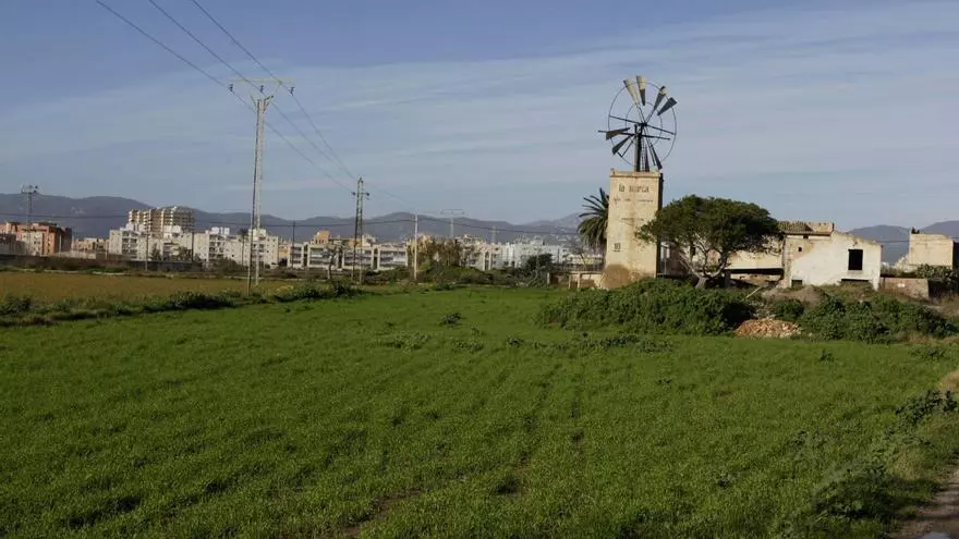 VÍDEO | El Govern da luz verde al proyecto de urbanización para construir 750 viviendas en Son Bordoy