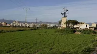 El Govern da luz verde al proyecto de urbanización para construir 750 viviendas en Son Bordoy