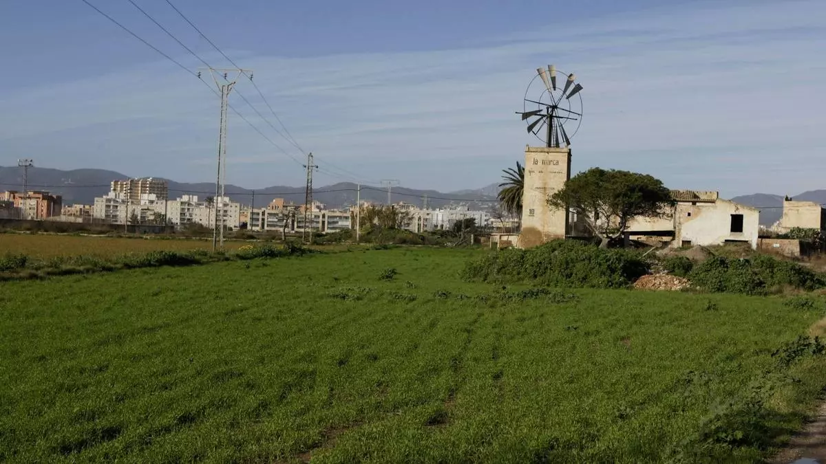 El Govern da luz verde al proyecto de urbanización para construir 750 viviendas en Son Bordoy