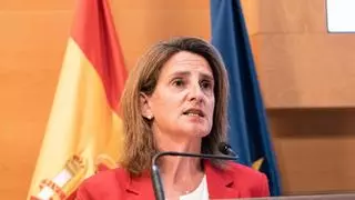 La vicepresidenta Ribera no comparecerá sobre la ley de Doñana y cede su turno a los científicos vetados