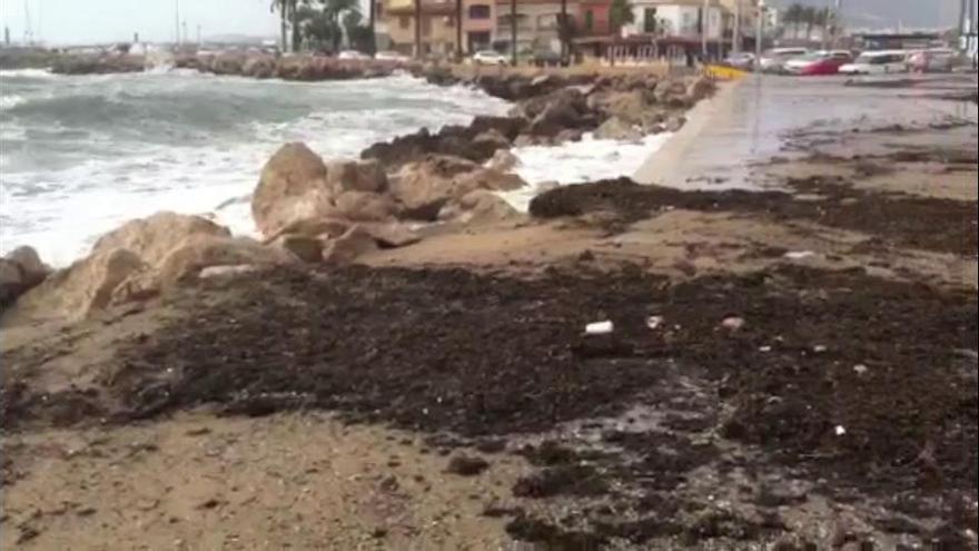 Mallorca en alerta por fenómenos costeros