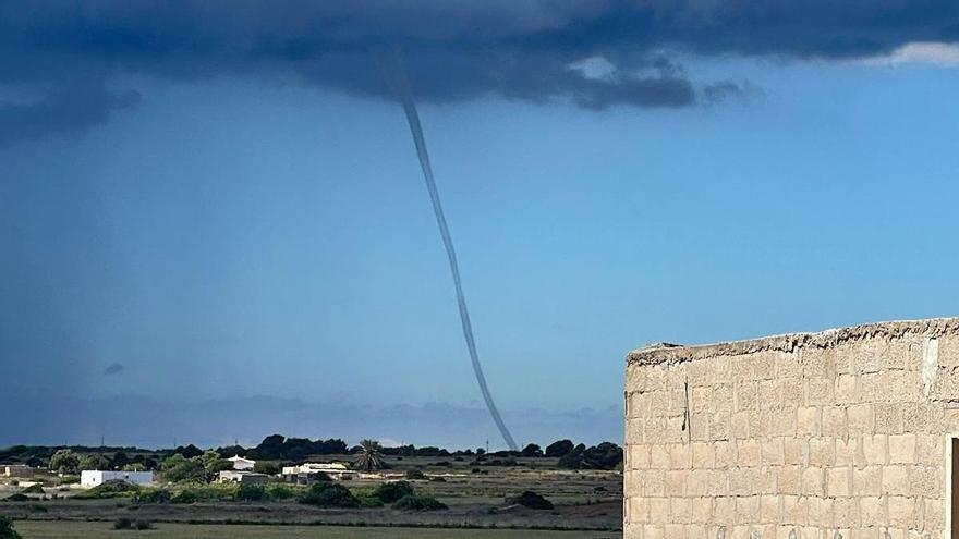 Captan un &#039;cap de fibló&#039; en Formentera