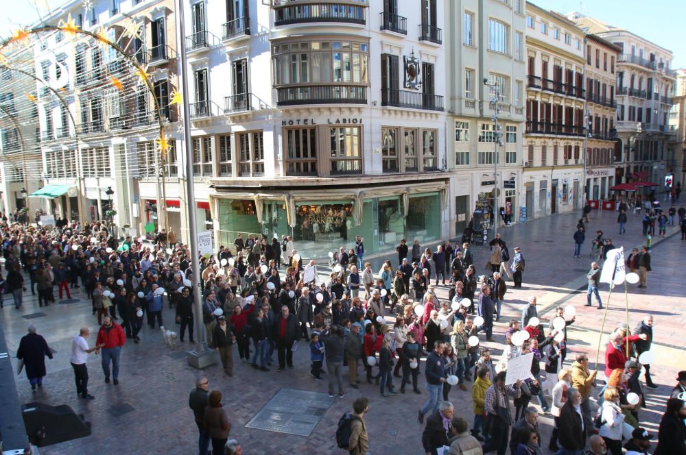 Marcha por una sanidad pública digna en Málaga