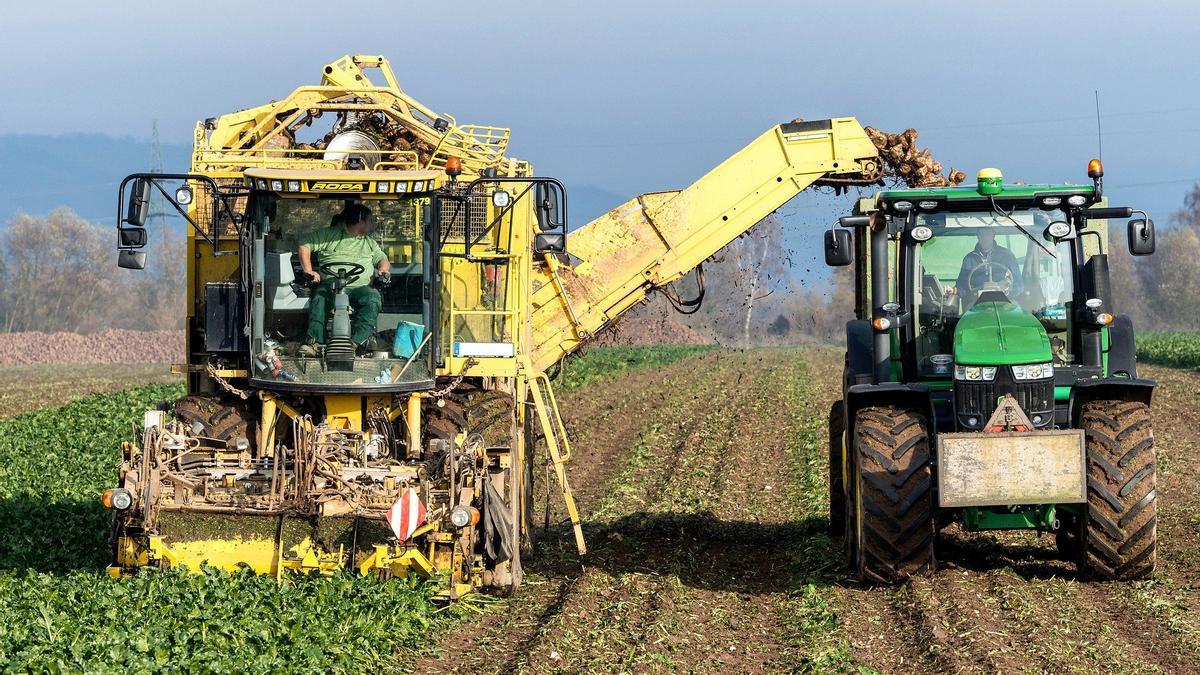El cambio climático amenaza la producción agrícola.