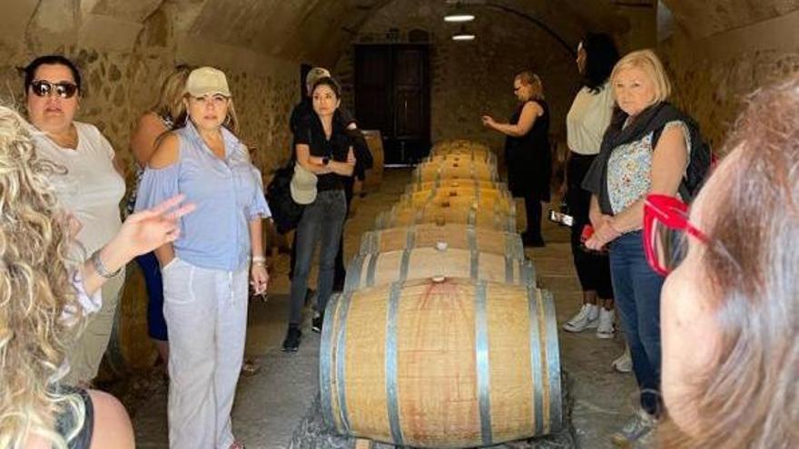 Clausura de las jornadas con agentes de viajes americanos: visitas al casco antiguo de Palma y recorridos por Mallorca