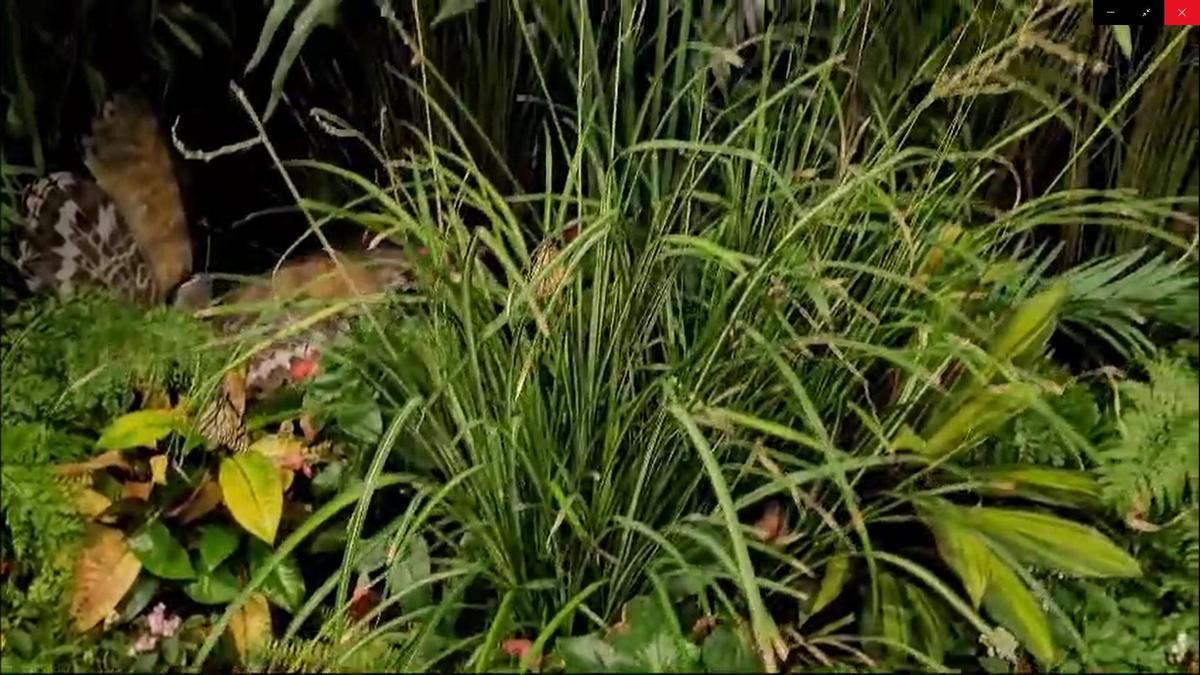 Celebración del 25 aniversario del Museo Elder