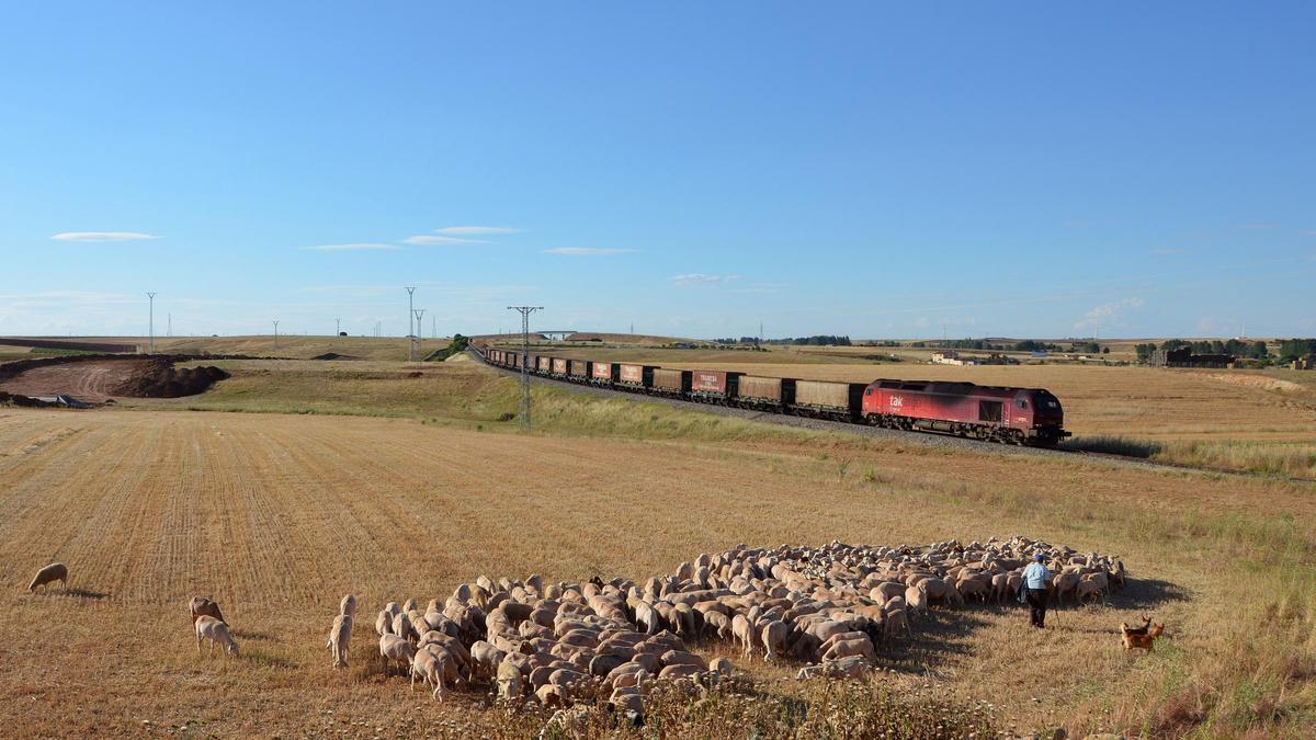 Tren de mercancías que realiza el recorrido Vigo-Sagunto, a su paso por la provincia de Zamora