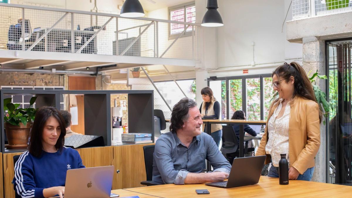 Wayco es el operador de coworking de referencia en València