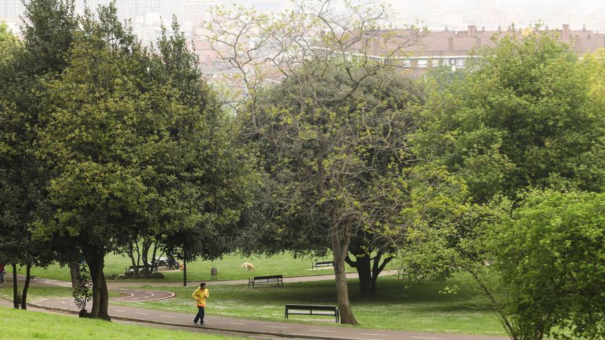 Una nueva senda conectará el parque Fluvial con el de Los Pericones