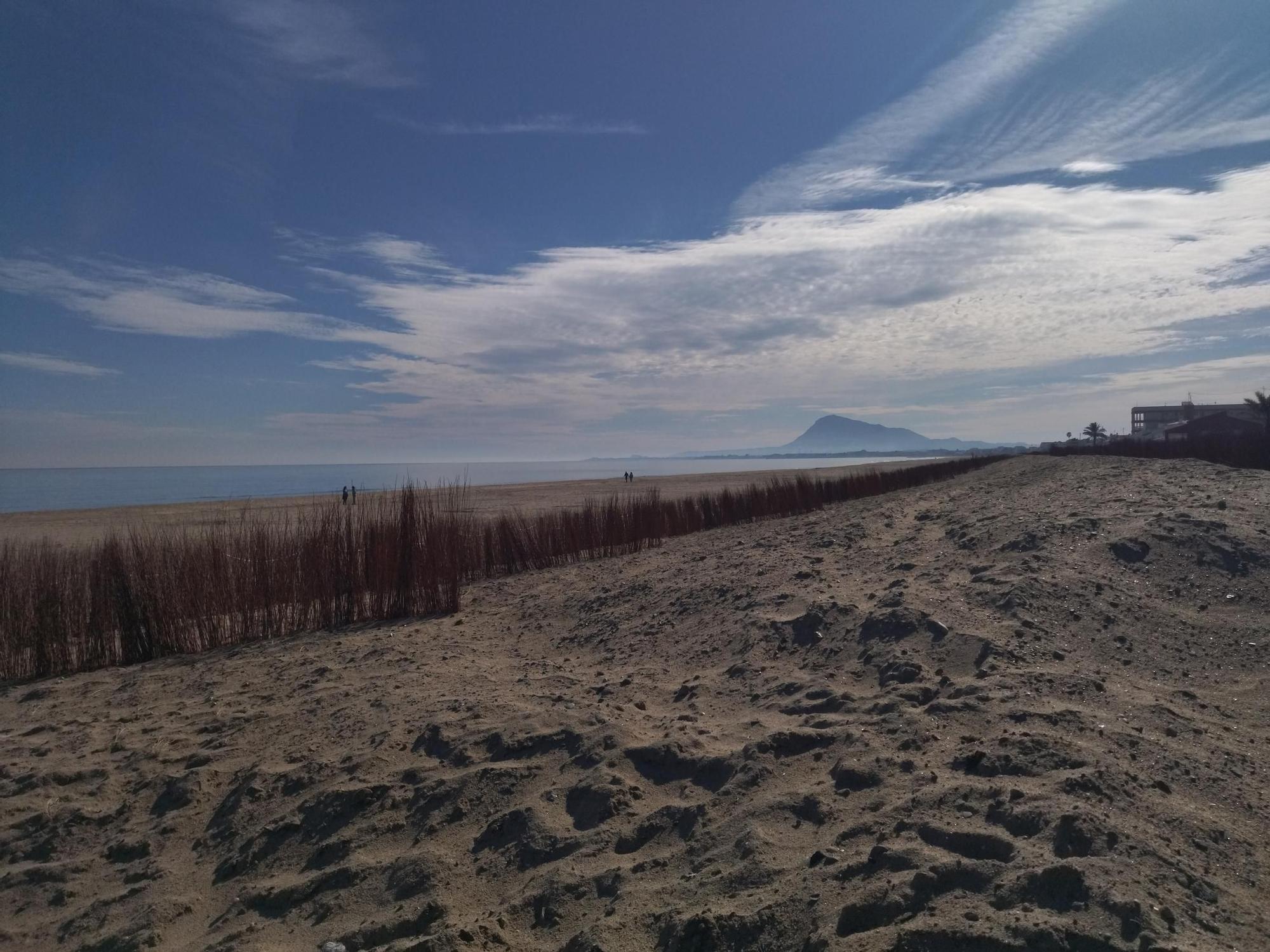 Las imágenes de la espectacular regeneración de la playa de les Deveses de Dénia