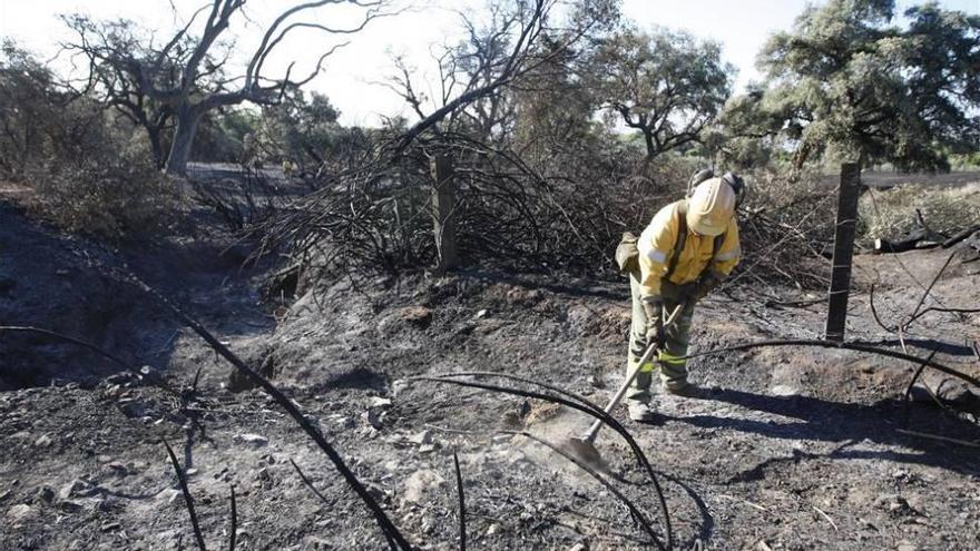 El Infoca se integra en el servicio de emergencias andaluzas 112