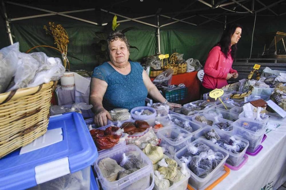 Feria del Sureste