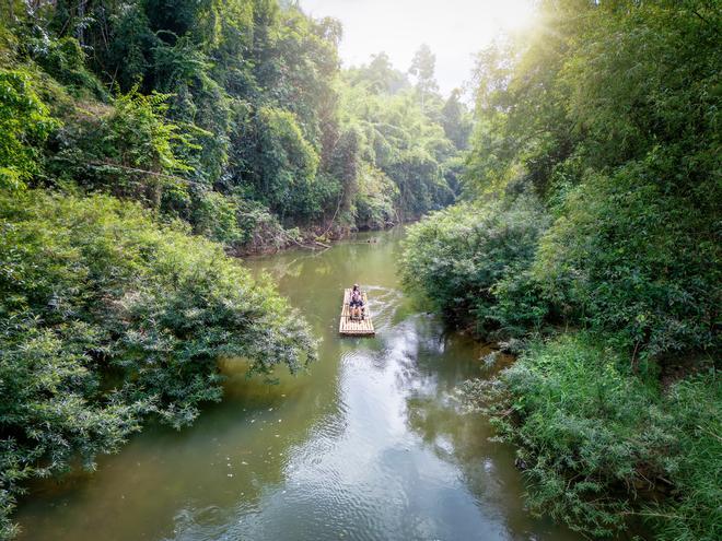 Khao Sok es el lugar perfecto para alucinar con la selva tropical.