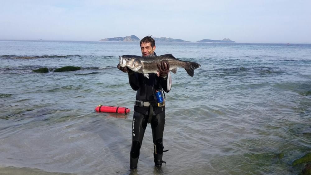 Ocho kilos de lubina en Monteferro