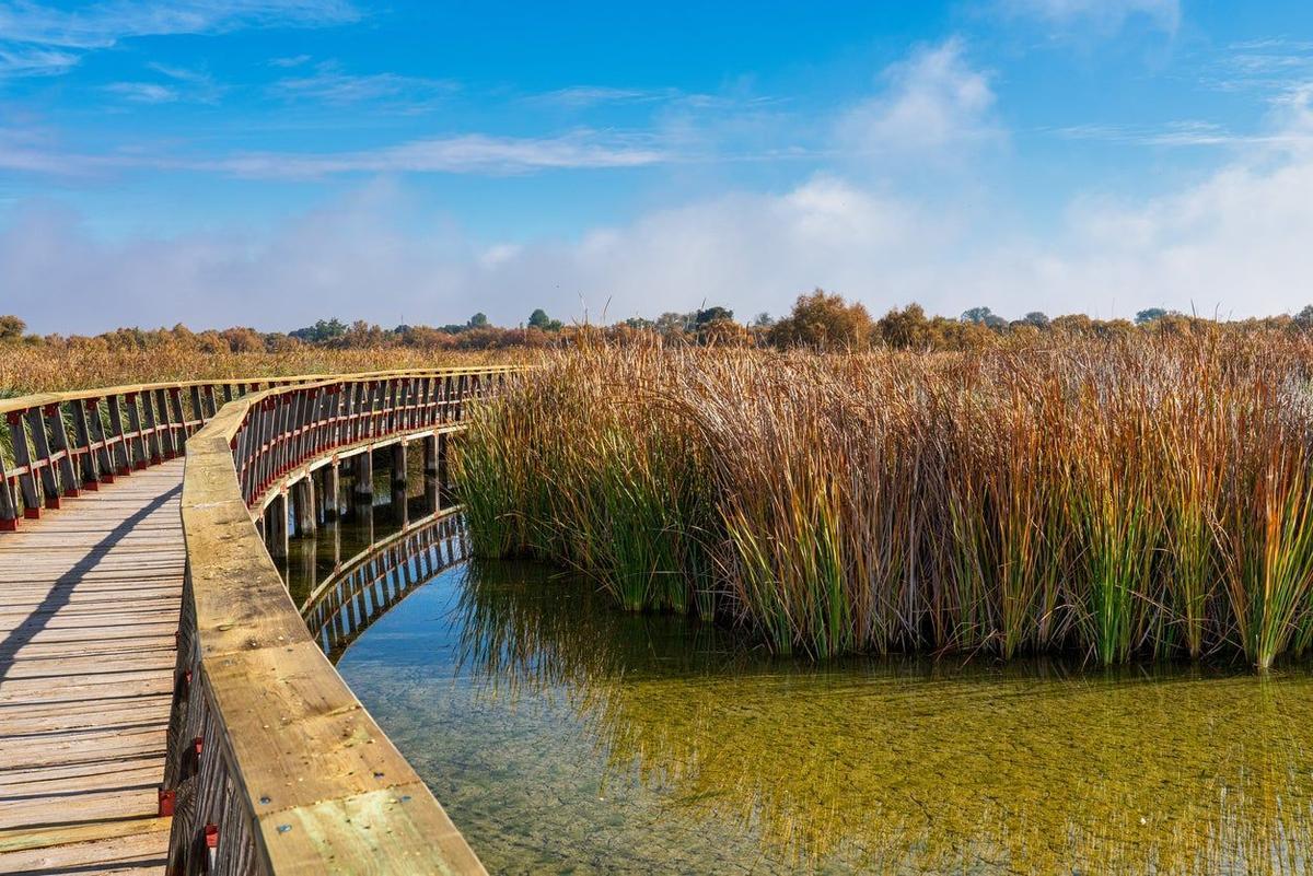 Contratar una visita guiada es la mejor opción para explorar Las Tablas de Daimiel.