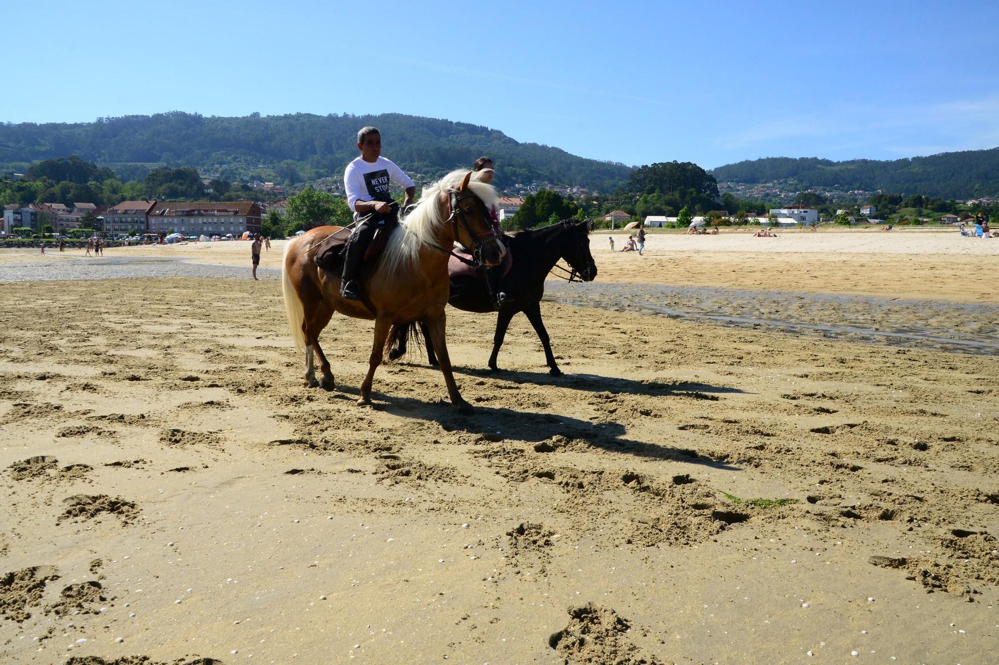 Una espectacular jornada a caballo por Moaña (I)