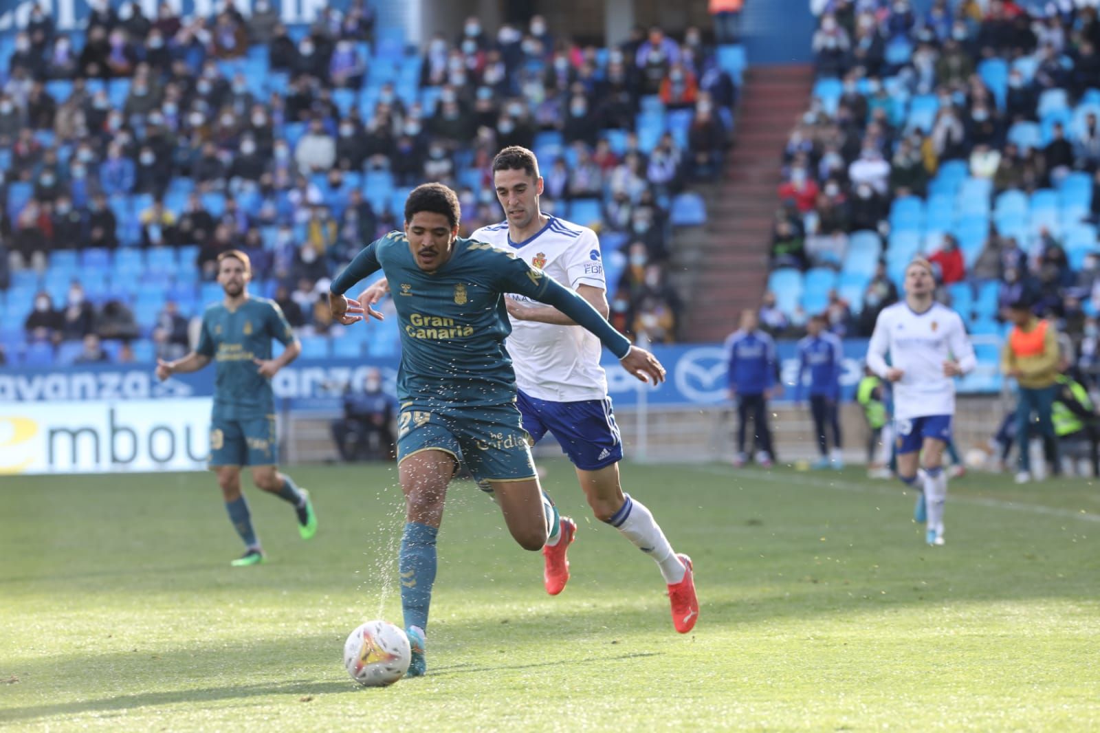 FOTOGALERÍA | Búscate en La Romareda en el Real Zaragoza-Las Palmas