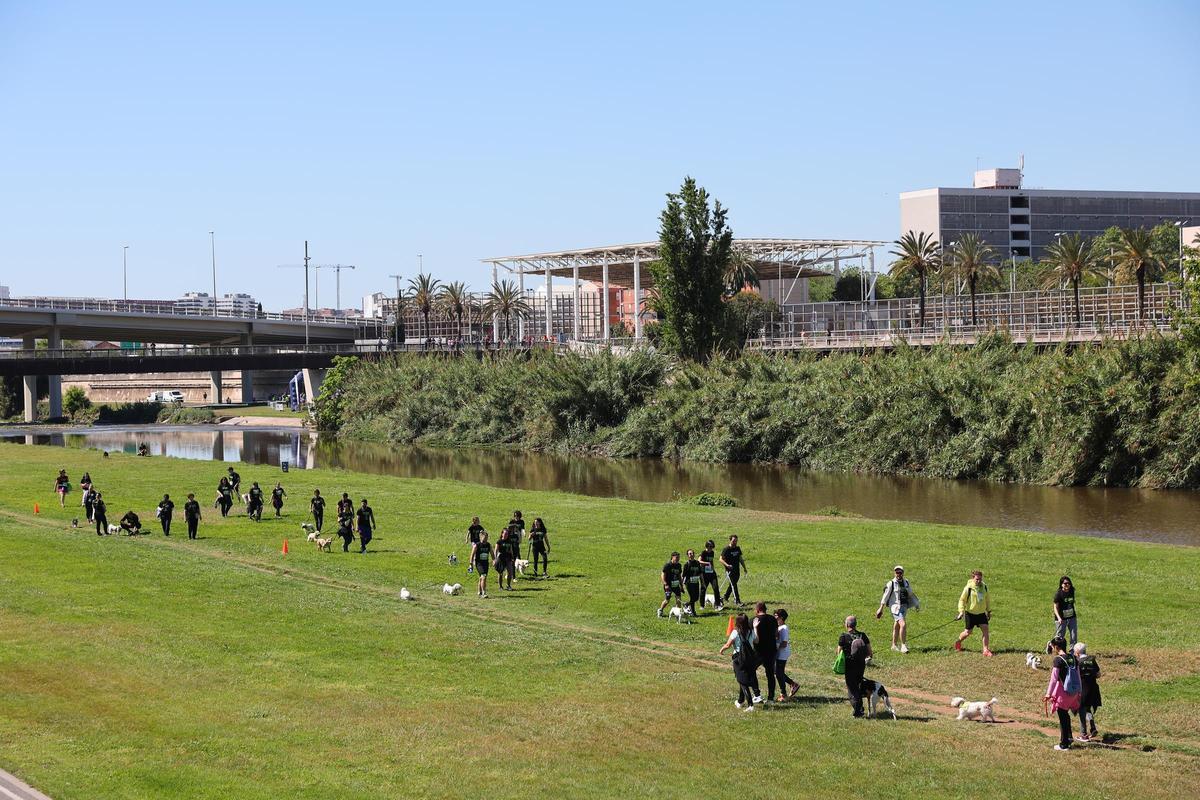 Las mejores imágenes de la Can We Run Barcelona