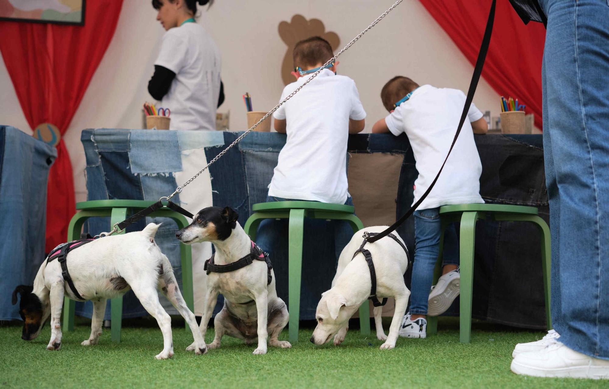 Feria de la Adopción de Mascotas de La Laguna