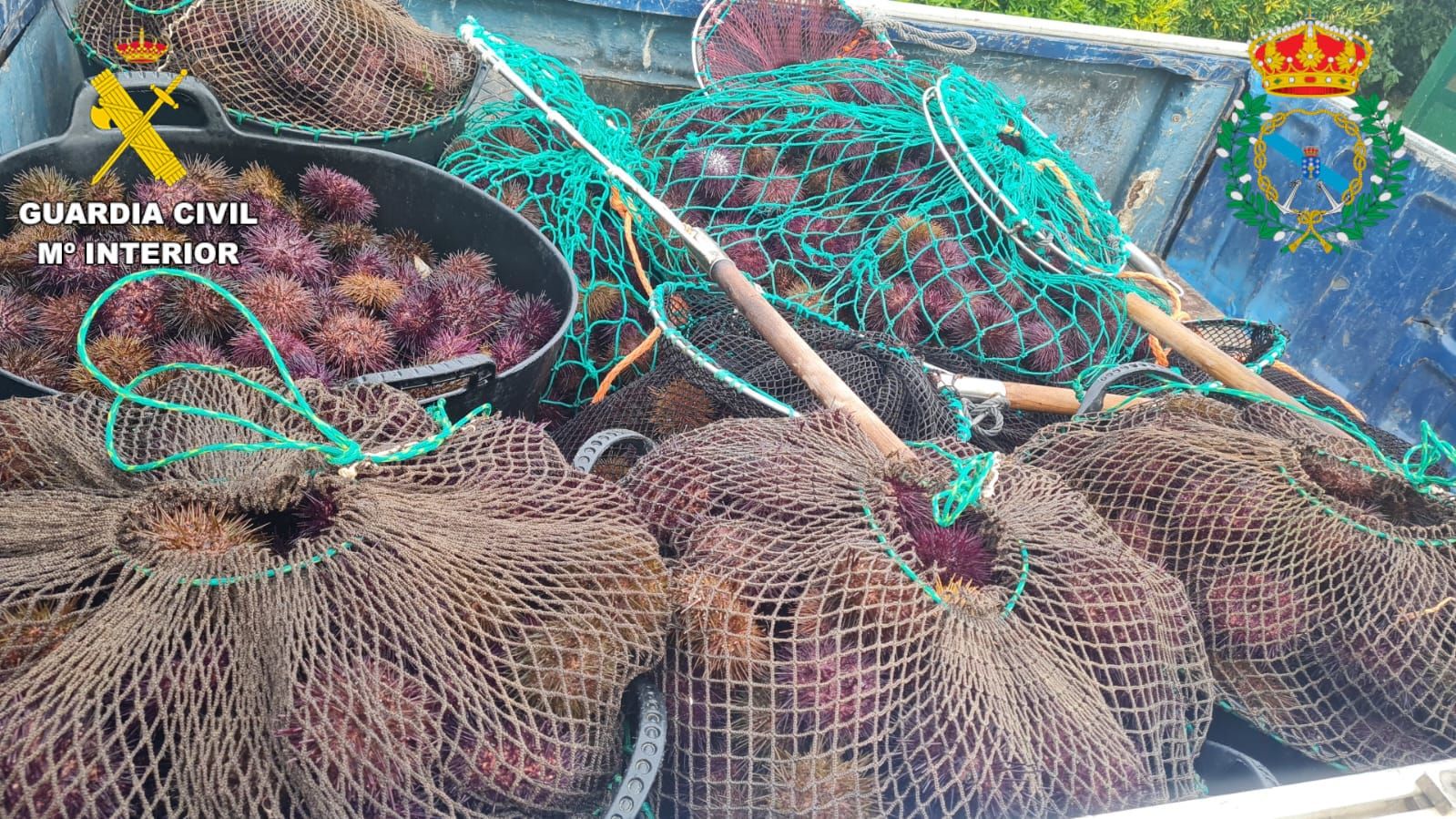 Interceptado en A Coruña cuando transportaba un sabroso botín