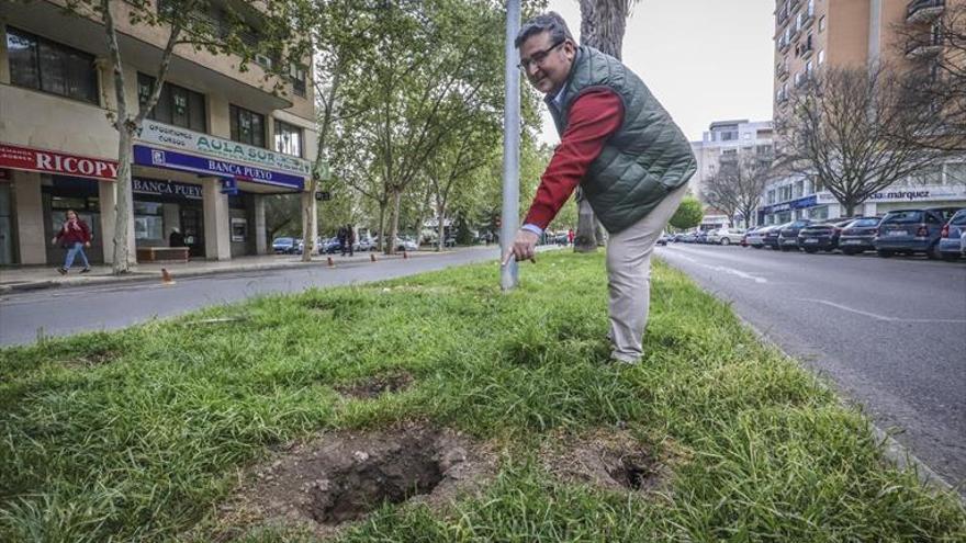 Quejas en la avenida Alcaraz y Alenda por la proliferación de ratas