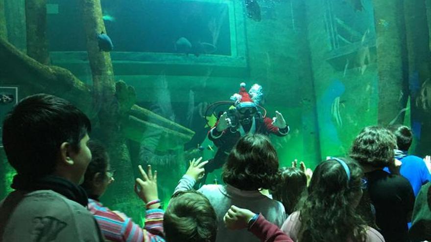 El acuario de Zaragoza enciende por Navidad su árbol subacuático