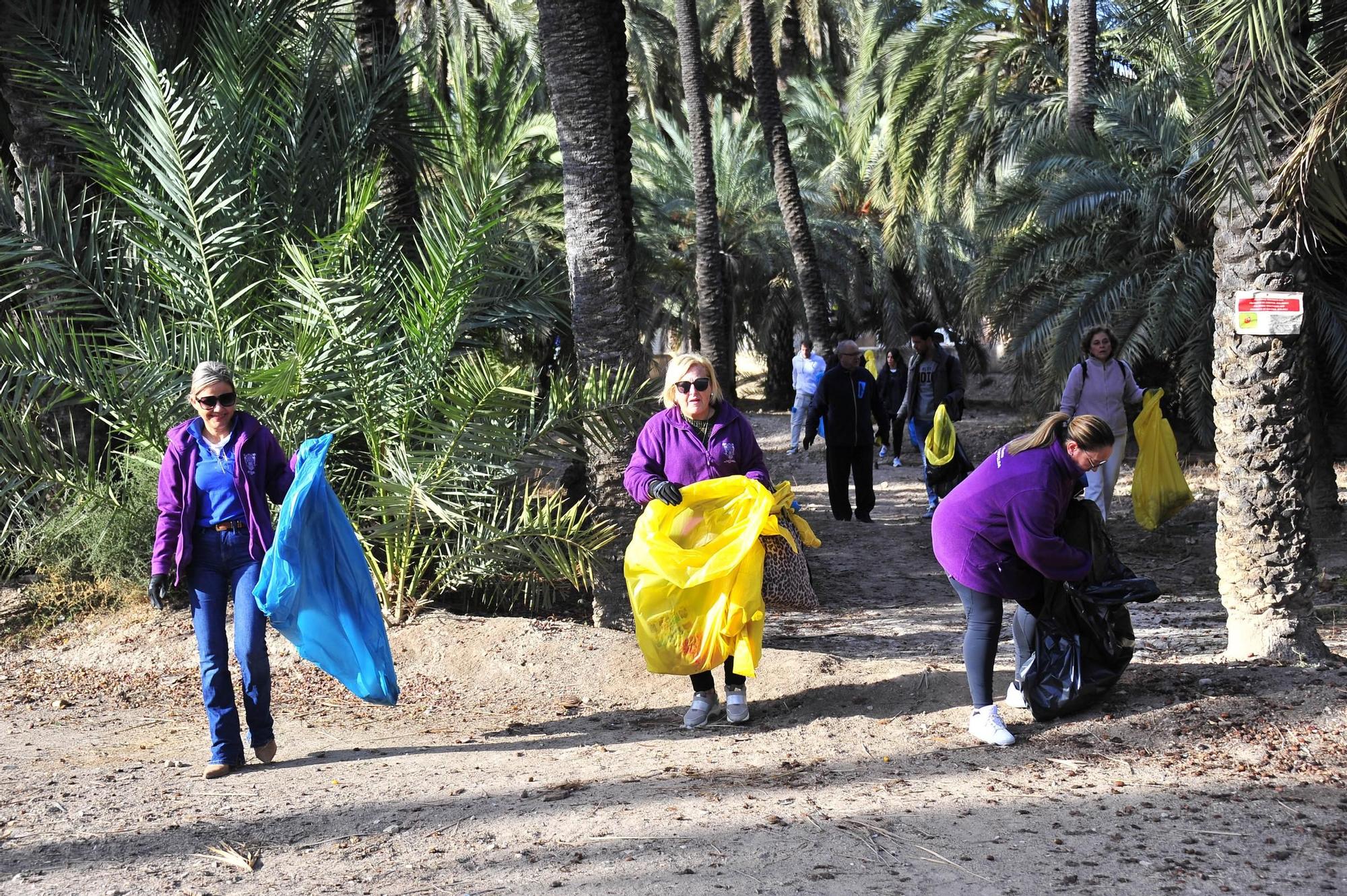 Limpieza de huertos en Elche