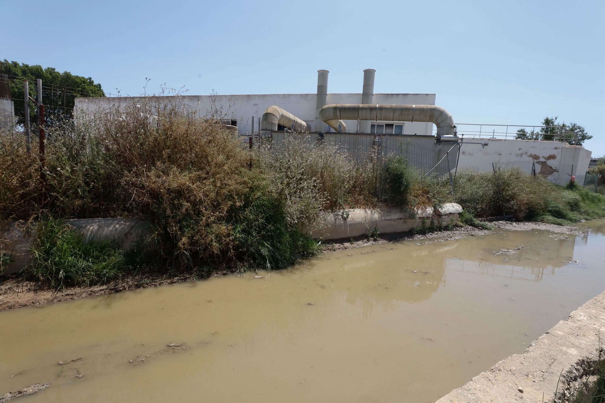 Nuevo vertido en el torrente de sa Llavanera de Ibiza