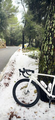 Las fotos de la nieve en Mallorca de nuestros lectores