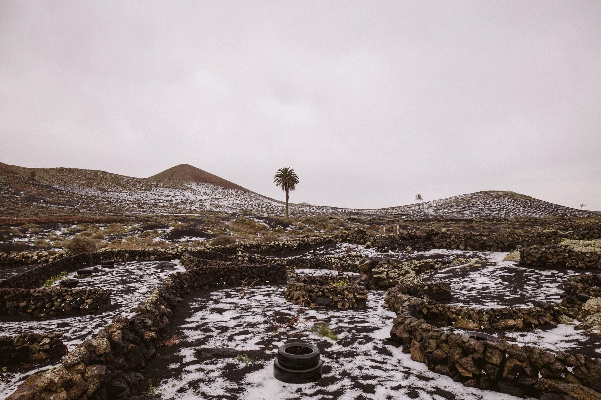 Granizada en La Geria (04/02/2023)