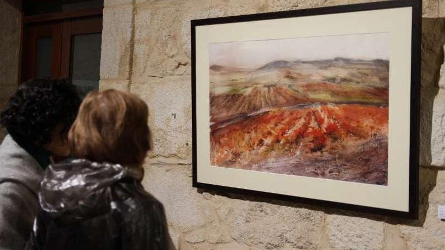 Las naturalezas de Mercedes Ballesteros, en el Seminario