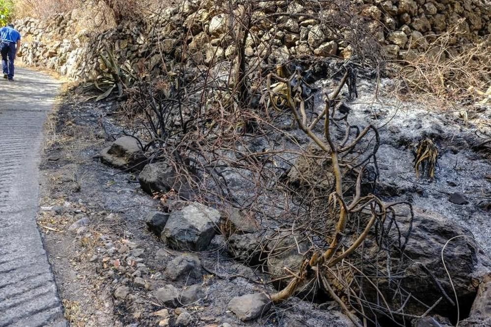 El fuego se ceba con una vivienda en El Sao (Agaete)