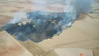 Medios humanos, terrestres y aéreos tratan de apagar un incendio en Villarrín de Campos