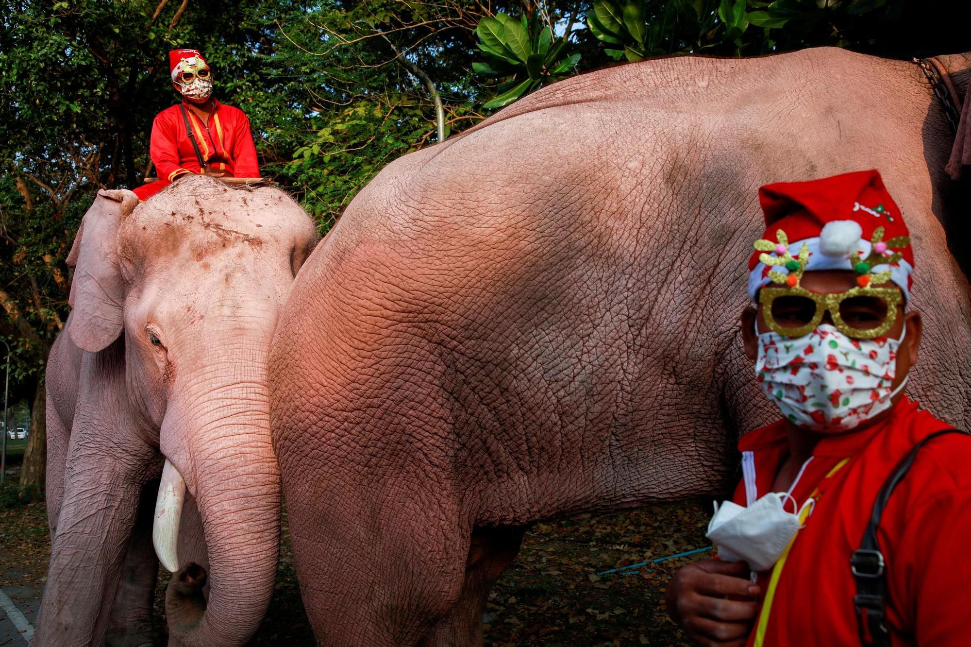 Jinetes vestidos de Papá Noel conducen unos elefantes en Tailandia.