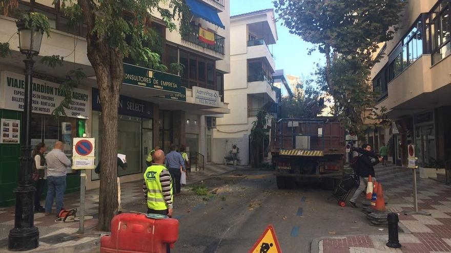 Las obras que han conllevado la tala de 21 árboles en calles del centro urbano de Marbella, especialmente en Alonso de Bazán, comenzaron el 7 de noviembre. El concejal de Obras, Javier García, aseguró que los árboles talados se sustituirían por otros ejemplares. La eliminación de la masa arbórea se suma a la que se realizó en diferentes vías de la zona, como la calles Notario Luis Oliver  en 2014. Un colectivo vecinal denunció esta semana que siete naranjos de Ricardo Soriano también se han eliminado.