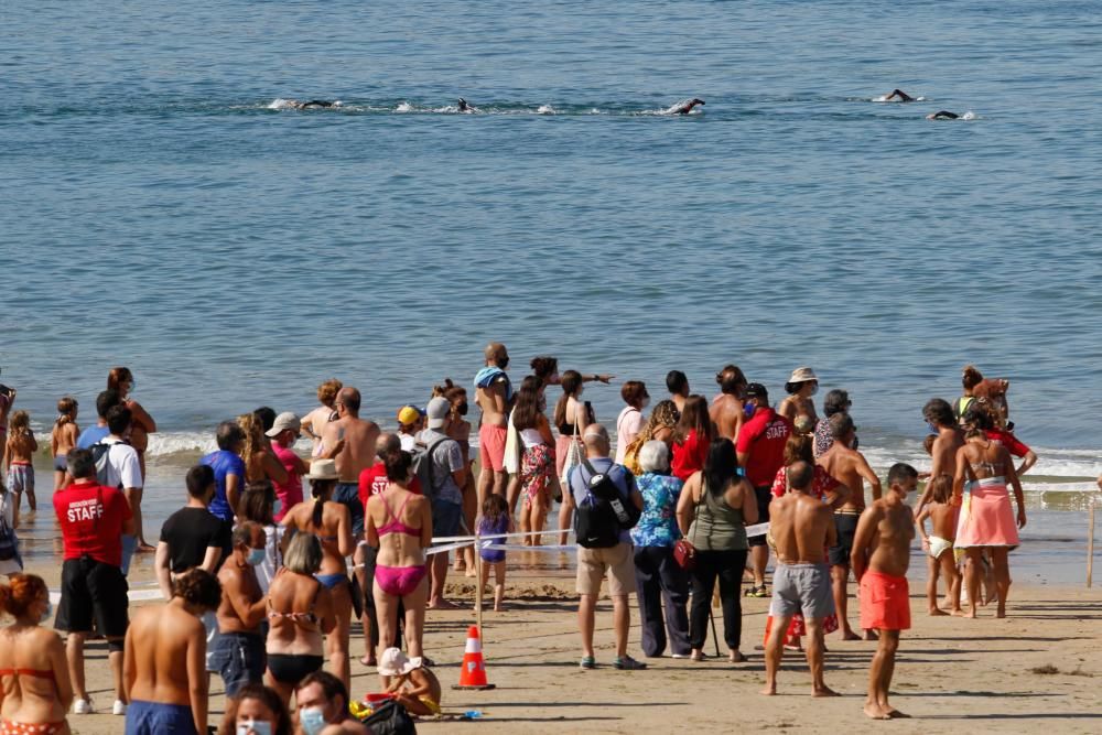 400 nadadores desafían a las aguas de Praia América. // Alba Villar