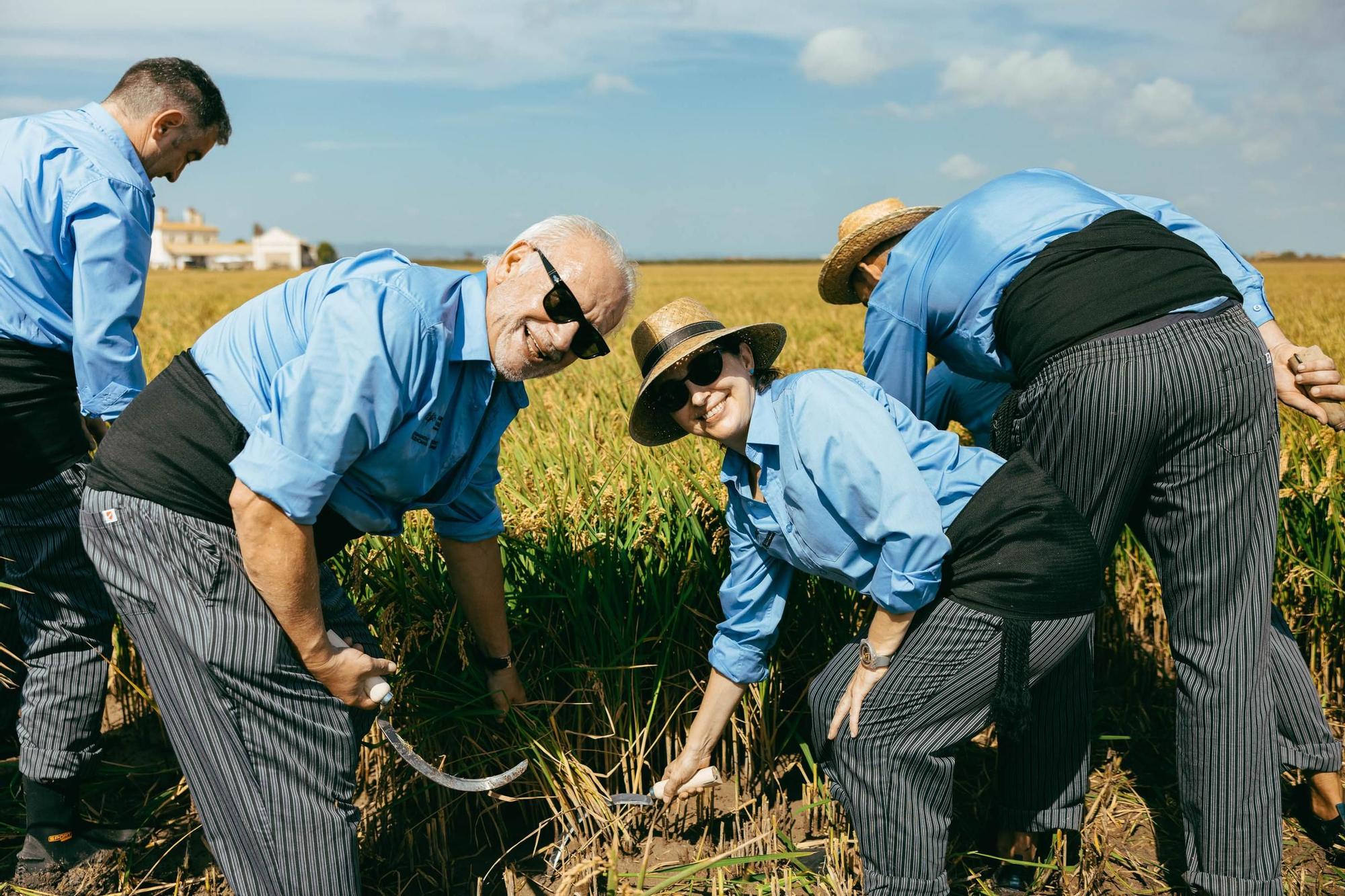 Los chefs Michelin se ponen la 'faixa' para la sega de l'Albufera