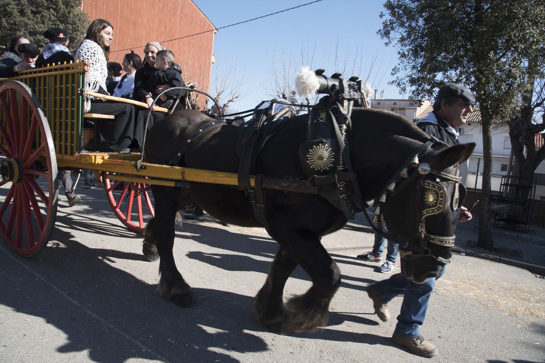 Les millors imatges dels Traginers de Balsareny