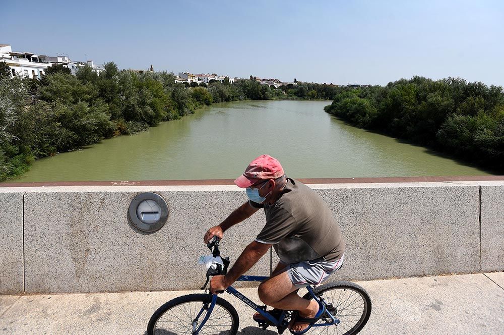 El Guadalquivir, un río frondoso a su paso por Córdoba