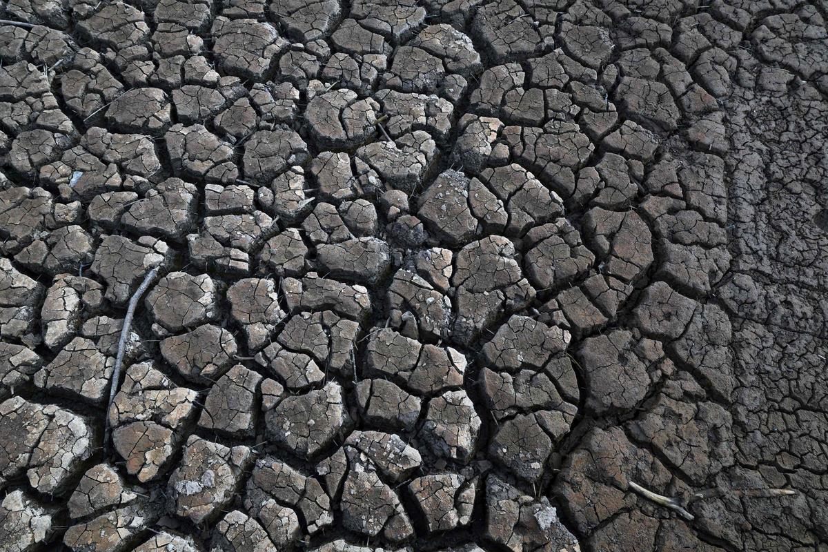 Esta fotografía tomada el 15 de enero de 2024 muestra una vista de la presa de bajo nivel de agua de Sau en la provincia de Girona en Cataluña. Cataluña lucha contra una sequía histórica desde hace tres años y algunos residentes ya experimentan restricciones de agua en su vida diaria.