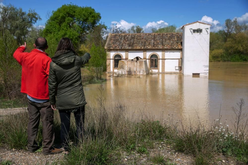 El río Ebro está a punto de desbordarse