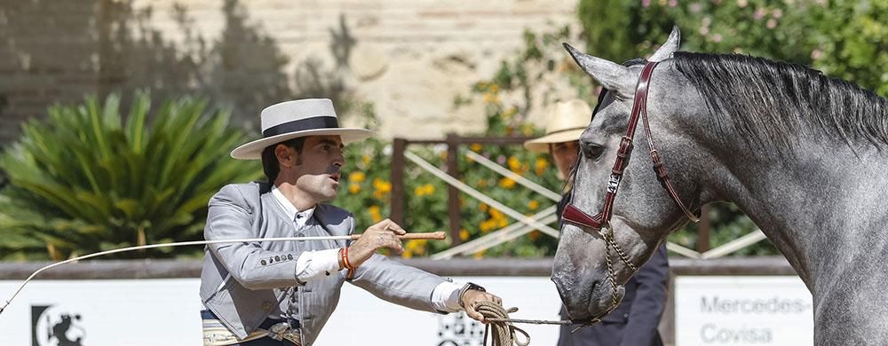 Cabalcor echa a andar con el concurso morfológico