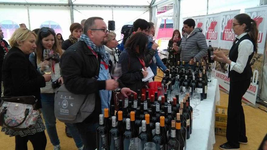 Catadores internacionales prueban los vinos elaborados en la DO durante su visita a Toro.
