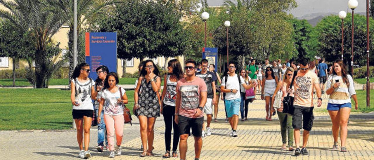 La decisión de Wert de eliminar la beca Erasmus causó un gran revuelo en el campus de la Universidad de Alicante.